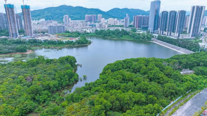 民治水库实景图