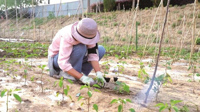 逃离城市计划！包头邀请你把日子过田园诗