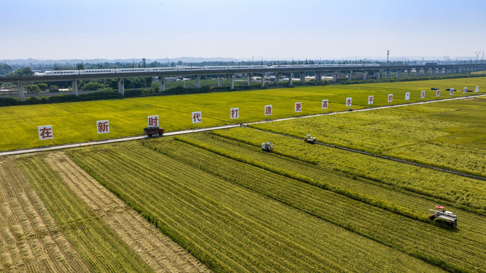 眉山市东坡区太和镇永丰村。侯建明 摄