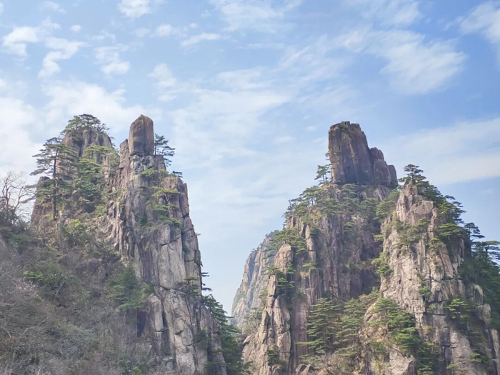 二仙论道。黄山风景区管委会 供图