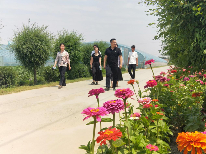 游客体验田园风光。赵国华摄