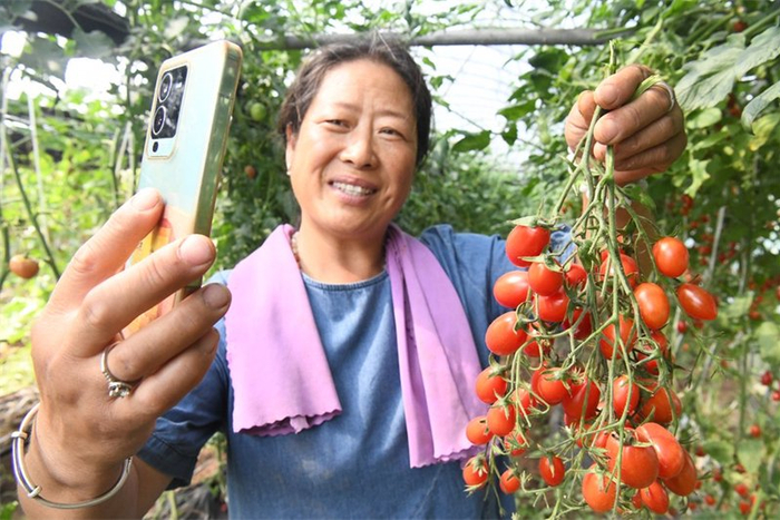 6月12日，广平县南阳堡镇果蔬种植基地，农户在直播销售农产品。