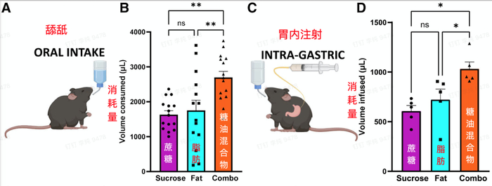 图片来源：Cell Metabolism 