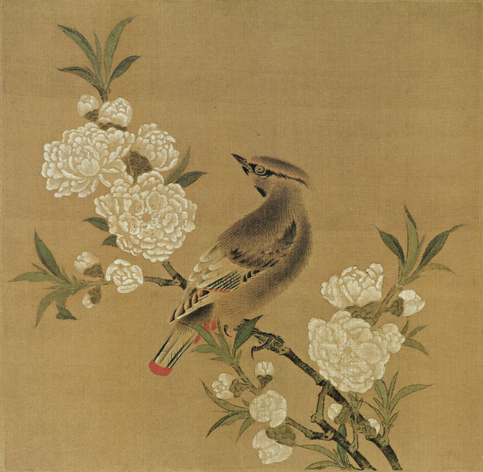 黄筌（传）《桃花山鸟图》