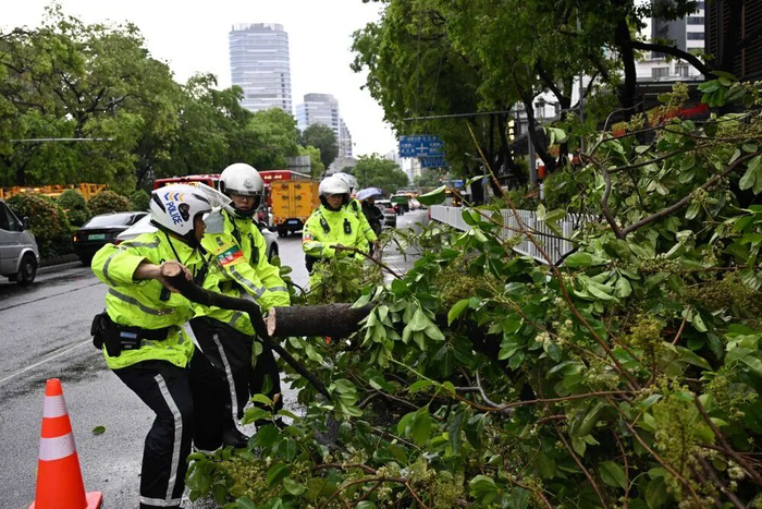 3月30日，在广州市越秀区解放中路，交警清理倒伏树木。当日，广东省广州市出现强对流天气。新华社记者邓华 摄