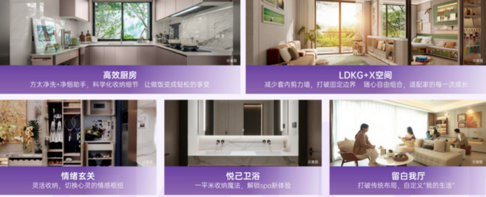 项目全屋精装效果图