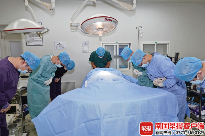脏器摘除前，科研人员为实验猪默哀。以上均为南国早报全媒体记者 王谰摄