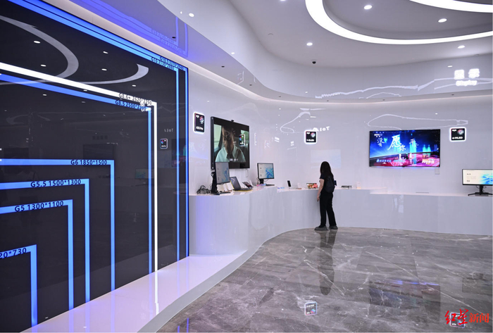 成都京东方显示科技有限公司