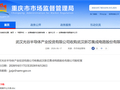 长存控股出让武汉新芯39%股权！国内NOR闪存龙头实控人变更