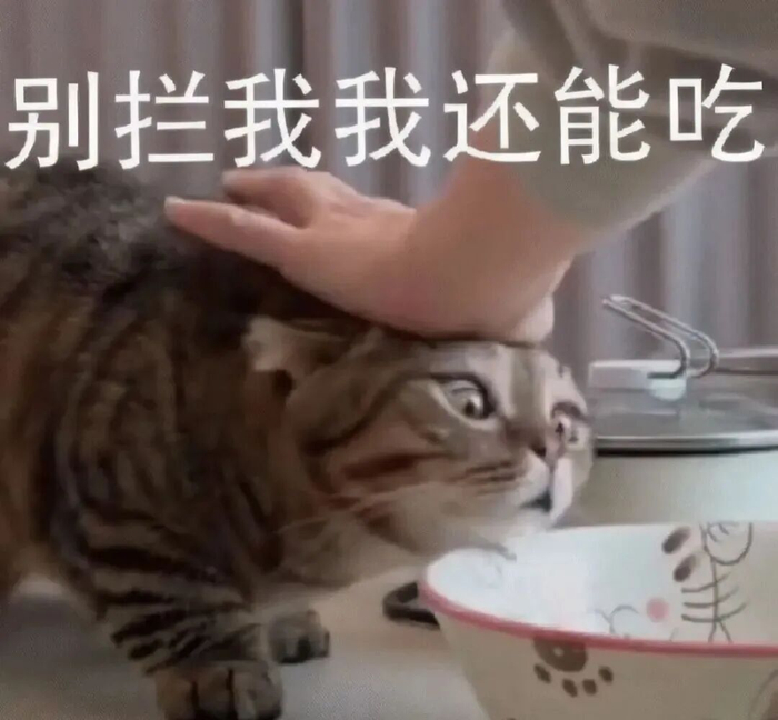 图源：网络表情包