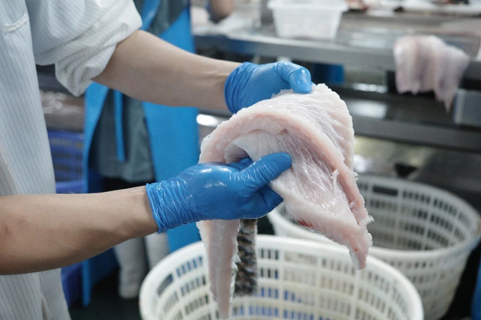 图源：《消费者报道》记者 摄