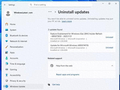 今秋发布！微软正式官宣Windows 11 26H2：2分钟完成更新、硬件要求没变化