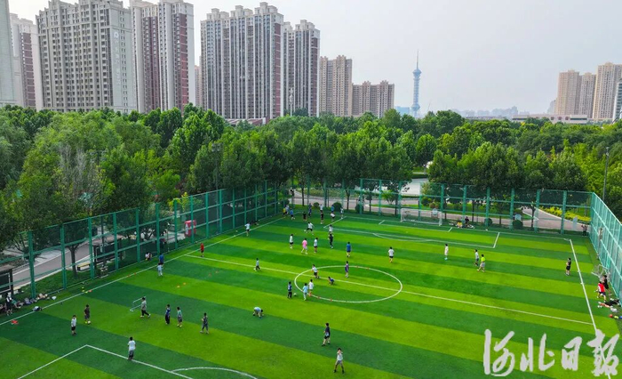 6月16日，市民在石家庄市体育公园运动健身。河北日报记者 史晟全摄