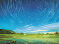新禾映星河 “北大仓”的稻田星光画卷