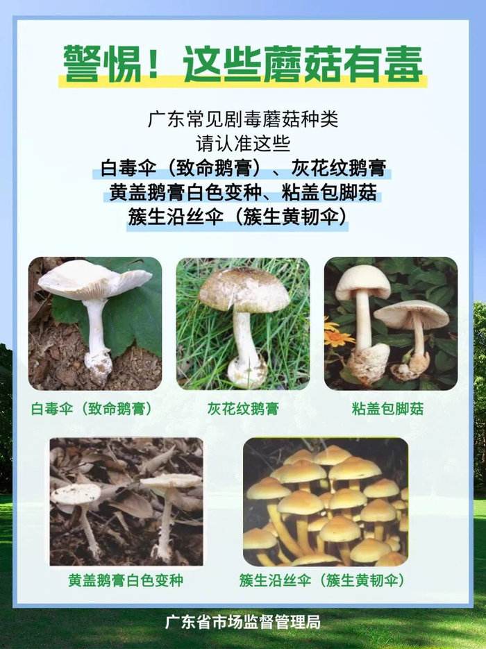 来源 | 东莞日报记者 冯欢 实习生 王嘉瑀 图/郑家雄 广东省市场监督管理局三审 | 殷昌盛二审 | 刘妍静编辑 | 谭雅文