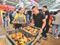 云南野生菌交易逐渐进入高峰期