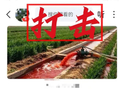 “麦田流血水”？编造传播涉农谣言，多人被罚！