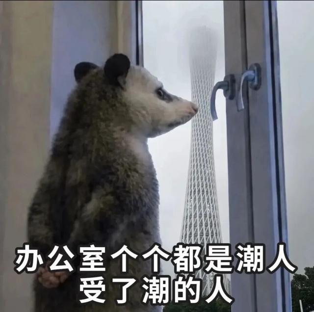 图文：区气象台、上海市天气发布、市生态环境局 