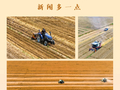 新闻多一点丨抓好“三夏”生产　夯实全年丰收根基
