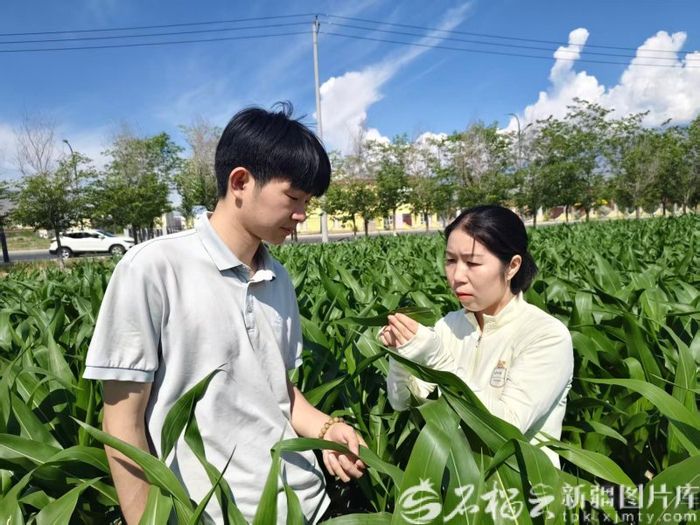 　　6月22日，王芳（右）和同事在田间观察玉米长势，研判病虫害情况。宋晓飞 摄