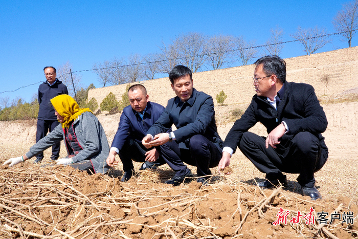 通渭县委书记邵鹏（右二）在基层调研。图片由通渭县委宣传部提供