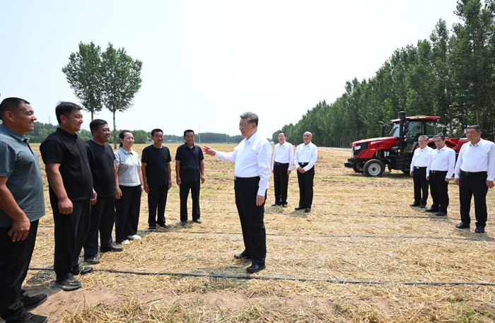   这是习近平总书记在陵城区边临镇东于架村，走进农田同种粮大户、农机手、农技人员亲切交流。