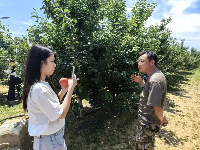 △李家塬村果农任振锋正在向记者介绍果园管护情况。