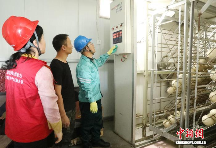 供电人员走进鸵鸟养殖场，检查用电设备。国网临汾供电公司供图