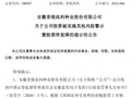 财务造假！300087，将被ST