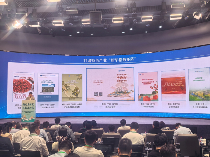 图为指数发布会现场