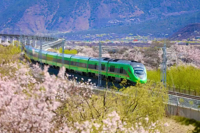 拉林铁路全线单月旅客运送量由开通初期的5.9万人次增至最高15.38万人次。国铁集团/图
