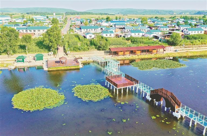     泡子沿村“塞北荷塘”。图片由黑河市爱辉区委组织部提供