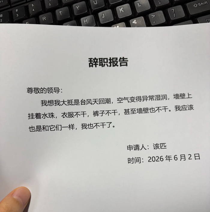 ▲图源：小红书用户“该匹已在工位”