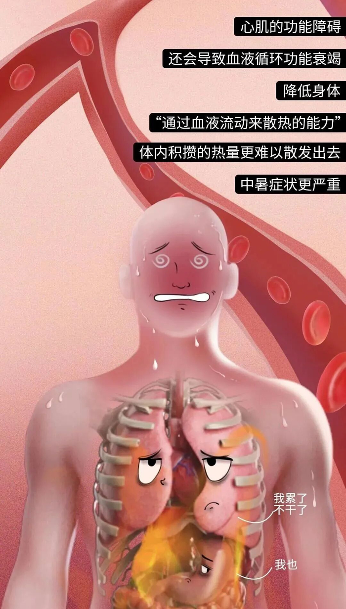 ▲图源：腾讯医典