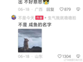 今日最佳：你怎么不去抢呢？