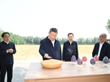 记者手记｜根脉在大地上，力量在人民中
