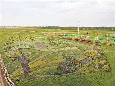 　　右图：稻浪绘新景，田园入画来。