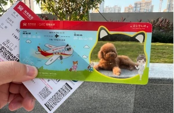 海南航空宠物专属纪念登机牌（海航供图）