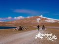 排片率低，这部户外题材影片决定走出自己的路