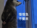 一张表情包的松弛感，用音乐怎么翻译？