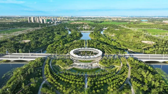 航空港区精准医学产业园。