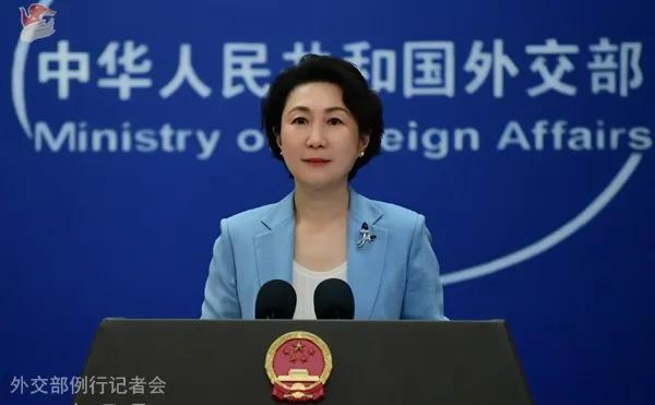 毛宁 资料图。图源：外交部网站