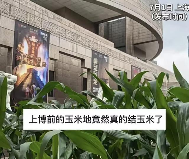 图源@微观上海