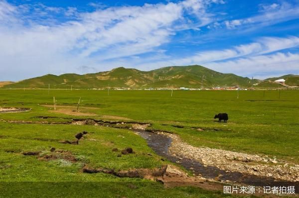 除了消费季主场的文旅消费券，北京商报记者了解到，广东、云南、河南洛阳、浙江杭州等多地也相继发放了各类暑期消费券。