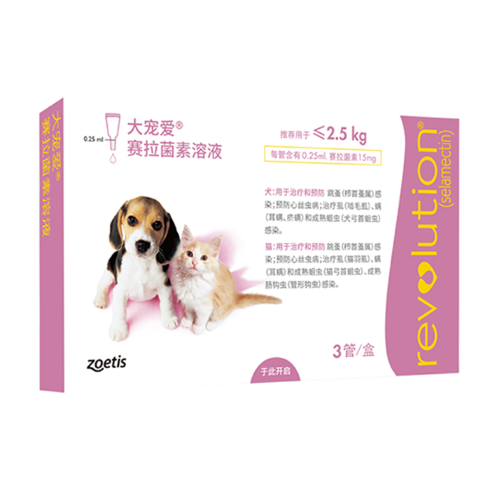 图示:将药液滴于猫后颈肩胛骨间皮肤,避免毛发遮挡与舔食。