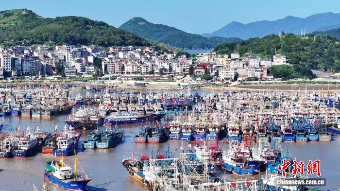 在霞浦县三沙中心渔港内，一艘艘渔船整齐停靠。郭金辉 摄