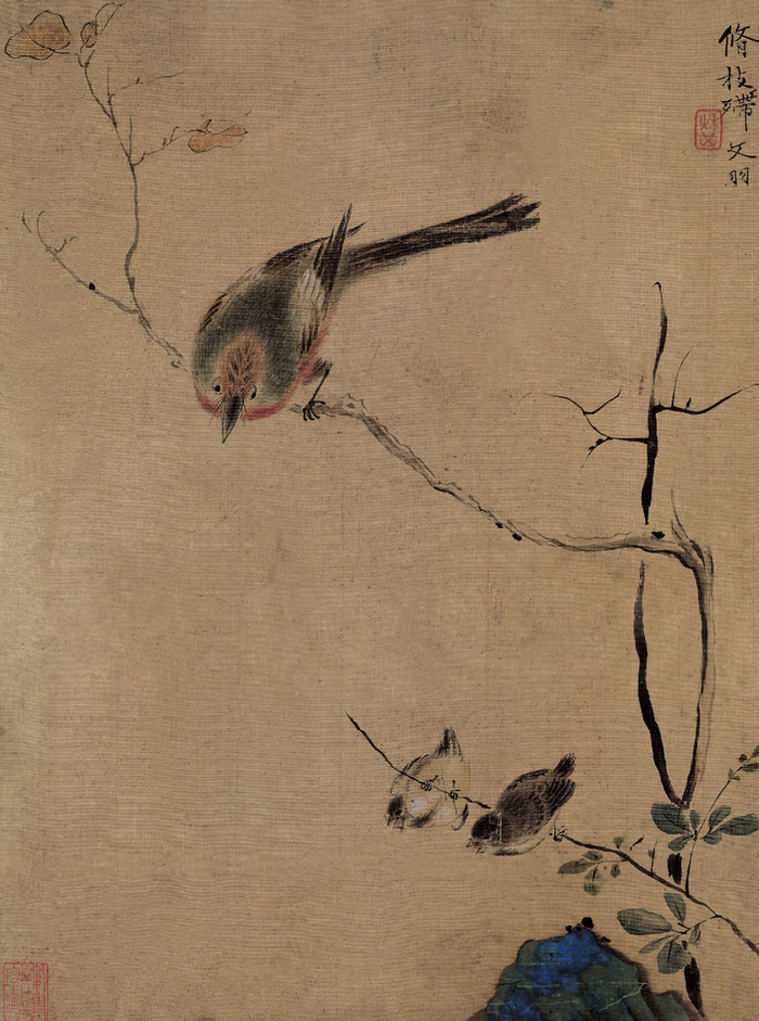 清 华嵒《花鸟草虫图》