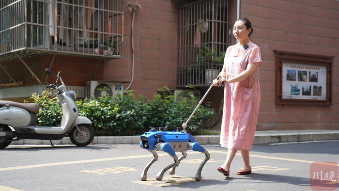 佳佳试用导盲机器狗产品