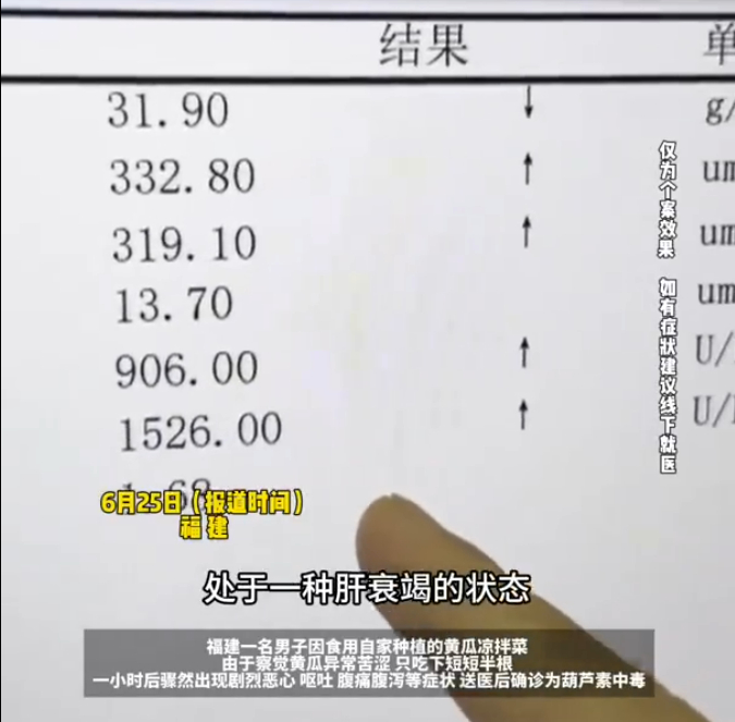 图源：第一帮帮团
