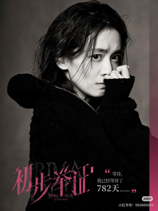 陈昊宇《初步举证》海报 @陈昊宇社交媒体
